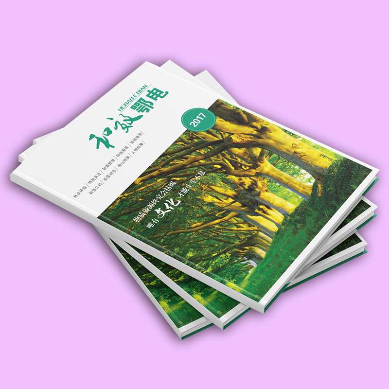 海南三亚印刷厂 画册印刷 多款画册印刷定制设计